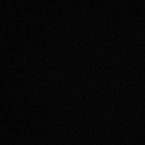 Meet your Posher, Fidel